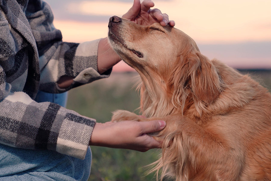 reiki-praxis-berlin-haunschild-behandlungen-fernreiki-5