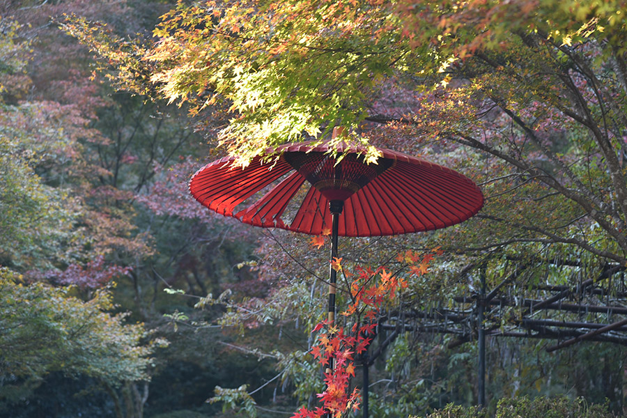 reiki-praxis-berlin-haunschild-reiki-geschichte